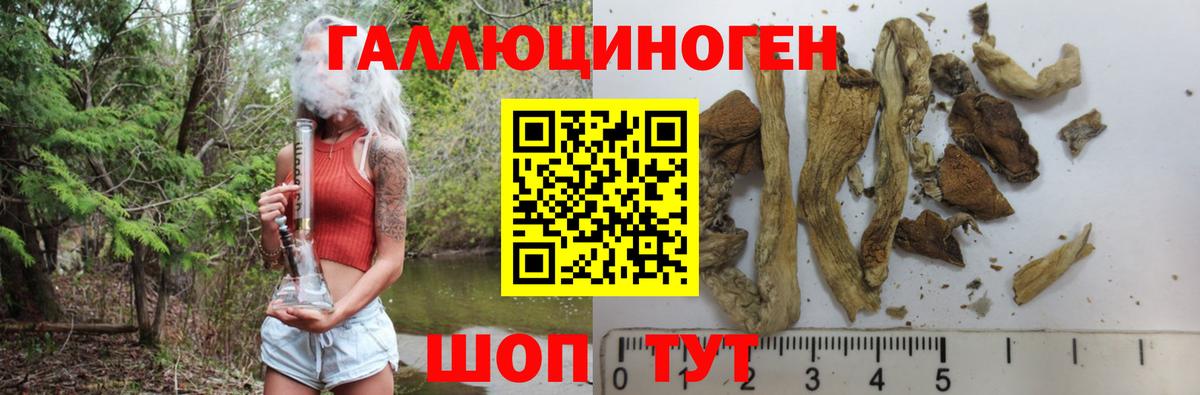 Воркута  Галлюциногенные грибы Psilocybe  Вход с VPN 